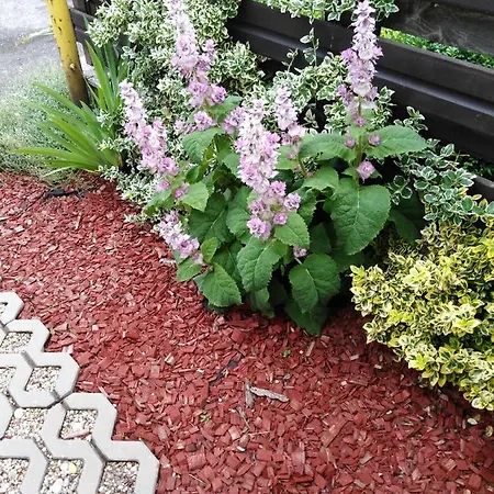 Lejlighed Privat Bajka *